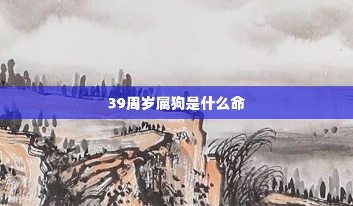 39周岁属狗是什么命