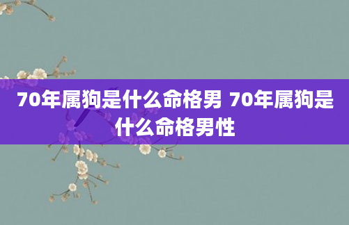 70年属狗是什么命格男 70年属狗是什么命格男性