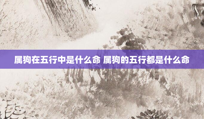 属狗在五行中是什么命 属狗的五行都是什么命