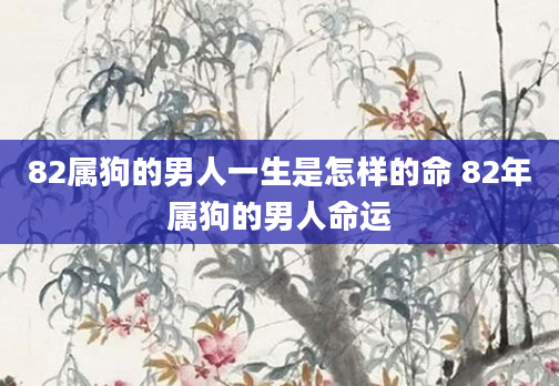 82属狗的男人一生是怎样的命 82年属狗的男人命运