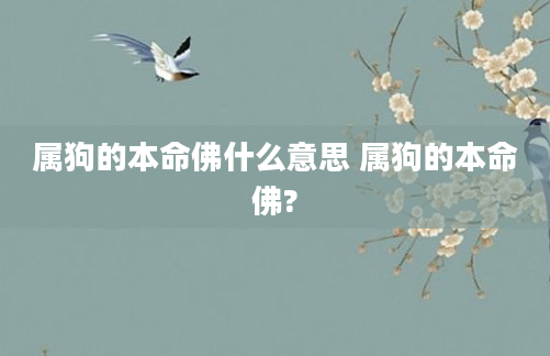 属狗的本命佛什么意思 属狗的本命佛?