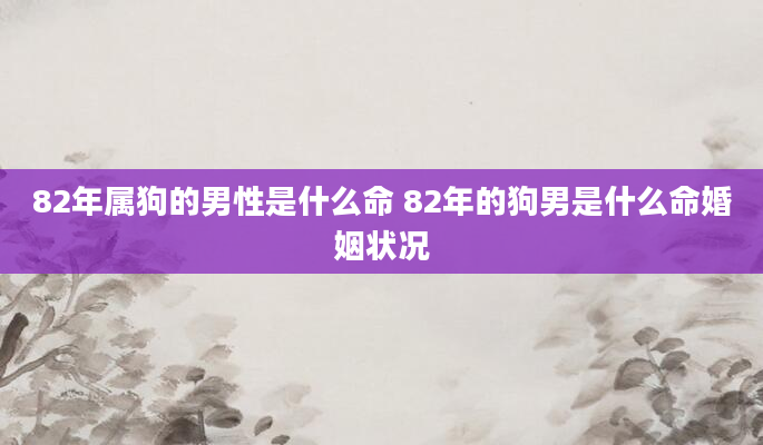 82年属狗的男性是什么命 82年的狗男是什么命婚姻状况