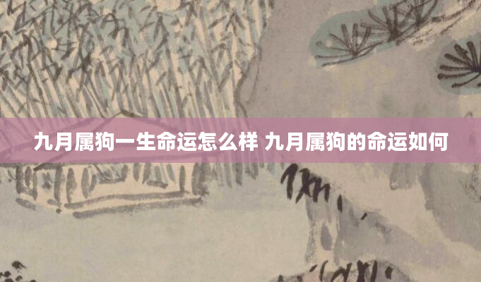 九月属狗一生命运怎么样 九月属狗的命运如何