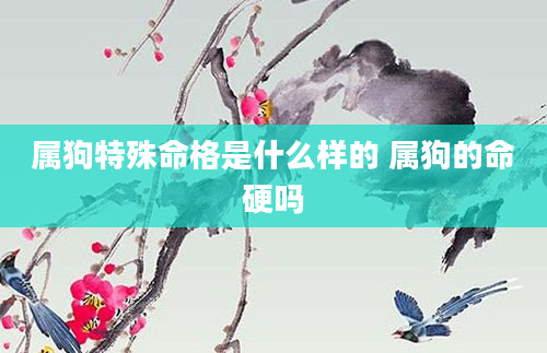 属狗特殊命格是什么样的 属狗的命硬吗