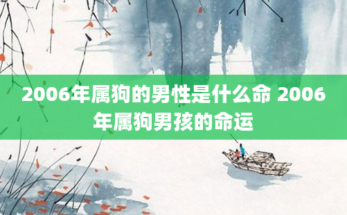 2006年属狗的男性是什么命 2006年属狗男孩的命运