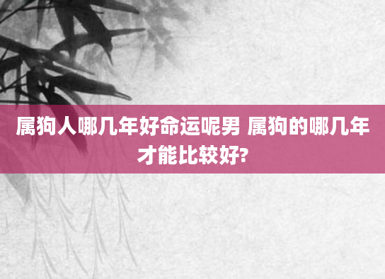属狗人哪几年好命运呢男 属狗的哪几年才能比较好?