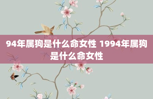 94年属狗是什么命女性 1994年属狗是什么命女性