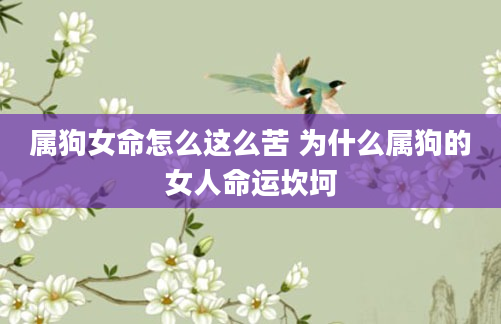 属狗女命怎么这么苦 为什么属狗的女人命运坎坷