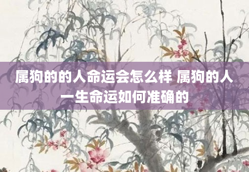 属狗的的人命运会怎么样 属狗的人一生命运如何准确的
