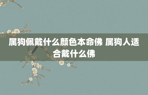 属狗佩戴什么颜色本命佛 属狗人适合戴什么佛