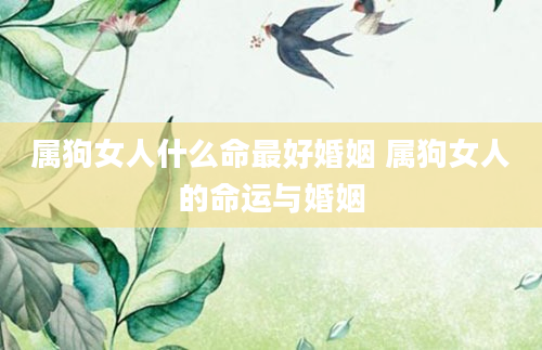 属狗女人什么命最好婚姻 属狗女人的命运与婚姻