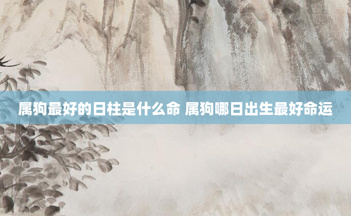 属狗最好的日柱是什么命 属狗哪日出生最好命运