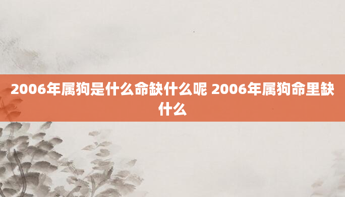 2006年属狗是什么命缺什么呢 2006年属狗命里缺什么