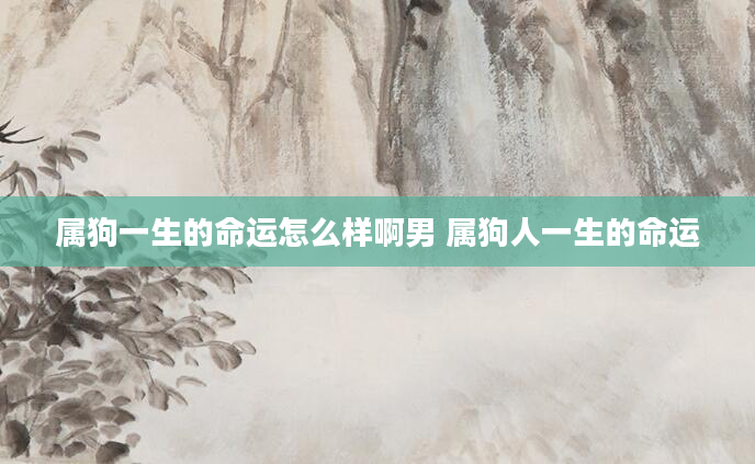 属狗一生的命运怎么样啊男 属狗人一生的命运