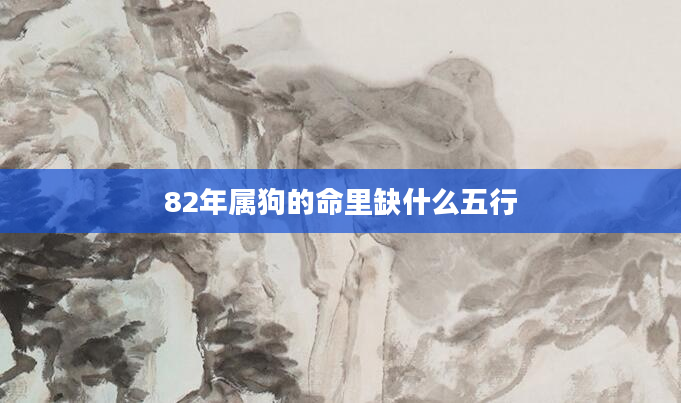 82年属狗的命里缺什么五行