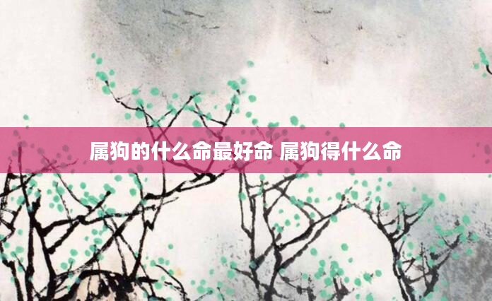 属狗的什么命最好命 属狗得什么命