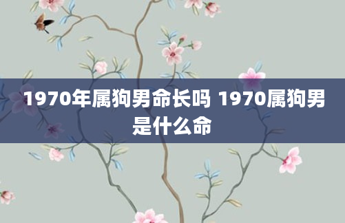 1970年属狗男命长吗 1970属狗男是什么命