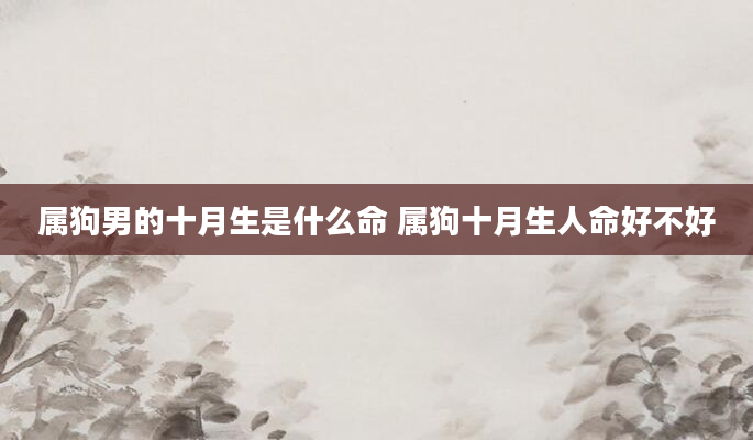 属狗男的十月生是什么命 属狗十月生人命好不好