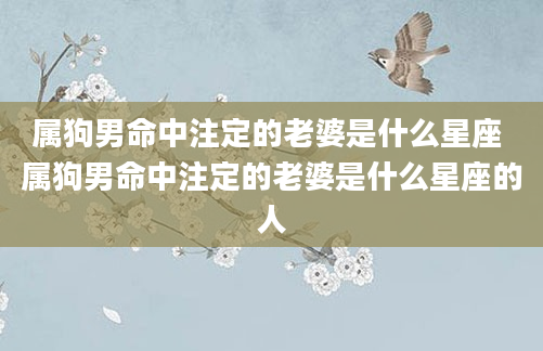 属狗男命中注定的老婆是什么星座 属狗男命中注定的老婆是什么星座的人