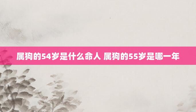 属狗的54岁是什么命人 属狗的55岁是哪一年