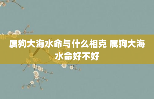属狗大海水命与什么相克 属狗大海水命好不好