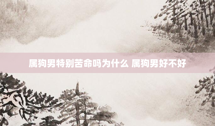 属狗男特别苦命吗为什么 属狗男好不好