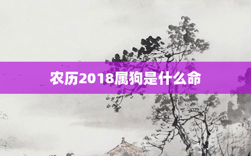 农历2018属狗是什么命