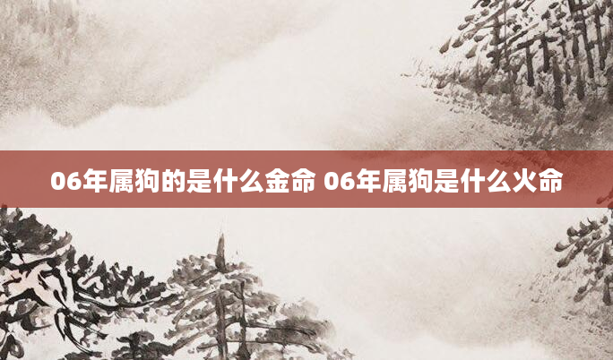 06年属狗的是什么金命 06年属狗是什么火命