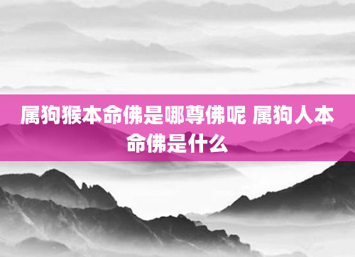 属狗猴本命佛是哪尊佛呢 属狗人本命佛是什么