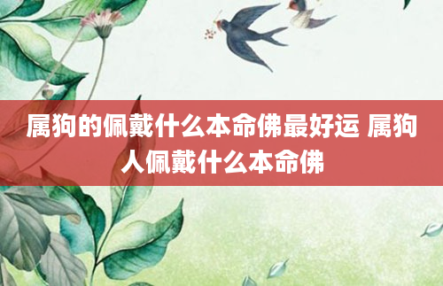属狗的佩戴什么本命佛最好运 属狗人佩戴什么本命佛