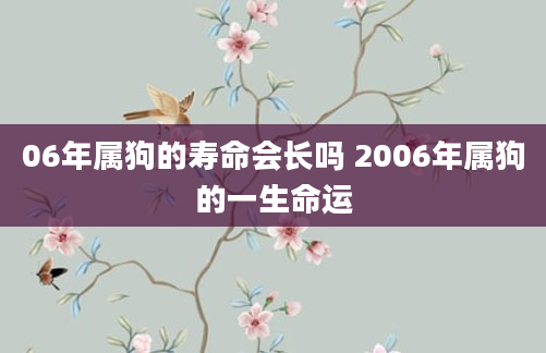 06年属狗的寿命会长吗 2006年属狗的一生命运