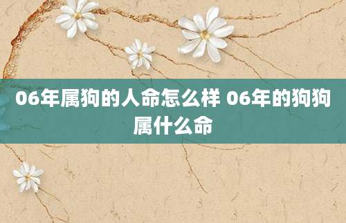 06年属狗的人命怎么样 06年的狗狗属什么命