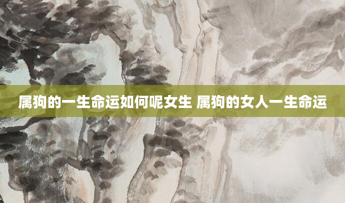 属狗的一生命运如何呢女生 属狗的女人一生命运