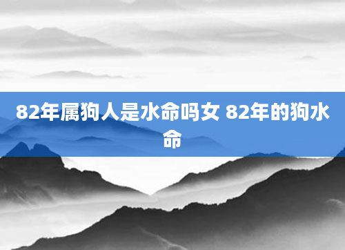 82年属狗人是水命吗女 82年的狗水命