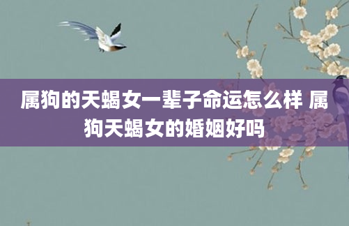 属狗的天蝎女一辈子命运怎么样 属狗天蝎女的婚姻好吗