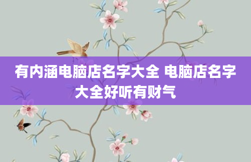 有内涵电脑店名字大全 电脑店名字大全好听有财气