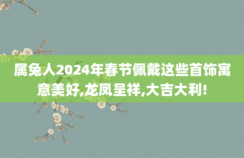 属兔人2024年春节佩戴这些首饰寓意美好,龙凤呈祥,大吉大利!