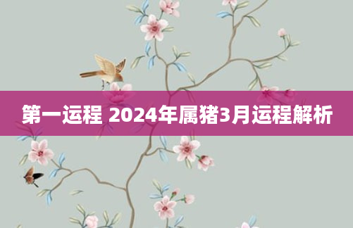 第一运程 2024年属猪3月运程解析