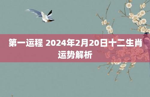 第一运程 2024年2月20日十二生肖运势解析