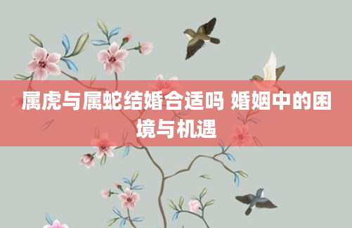 属虎与属蛇结婚合适吗 婚姻中的困境与机遇