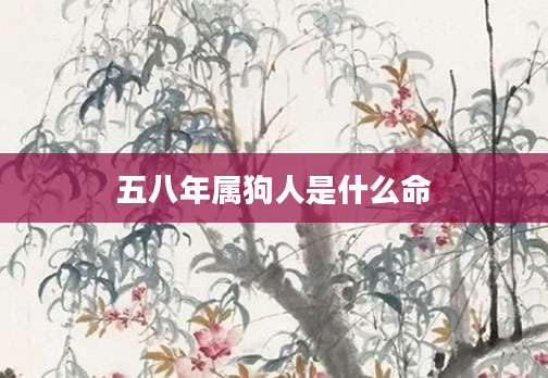 五八年属狗人是什么命