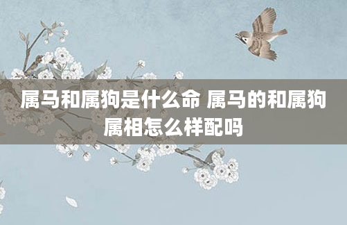 属马和属狗是什么命 属马的和属狗属相怎么样配吗