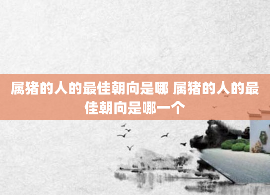 属猪的人的最佳朝向是哪 属猪的人的最佳朝向是哪一个