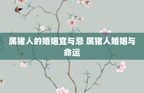 属猪人的婚姻宜与忌 属猪人婚姻与命运