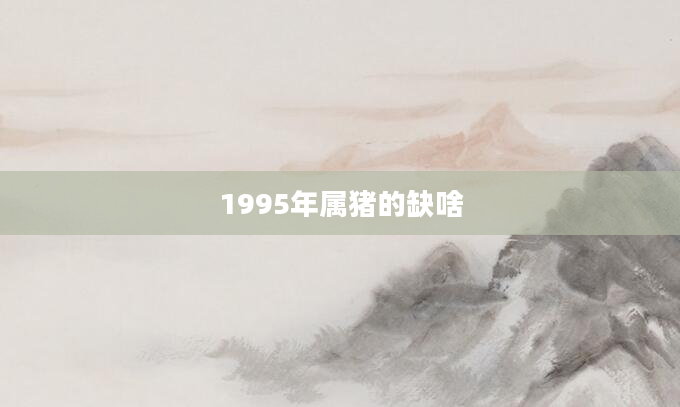 1995年属猪的缺啥