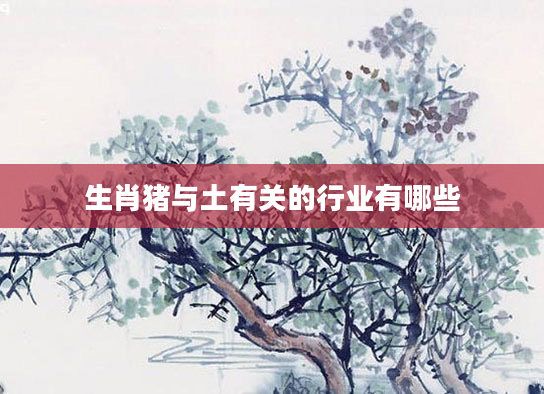生肖猪与土有关的行业有哪些