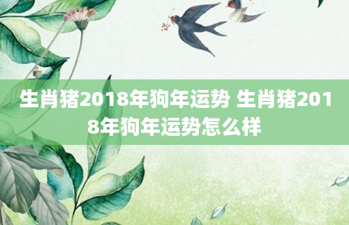 生肖猪2018年狗年运势 生肖猪2018年狗年运势怎么样