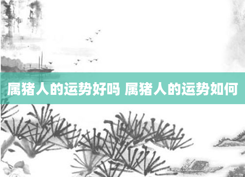 属猪人的运势好吗 属猪人的运势如何