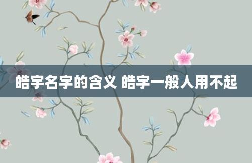 皓宇名字的含义 皓字一般人用不起