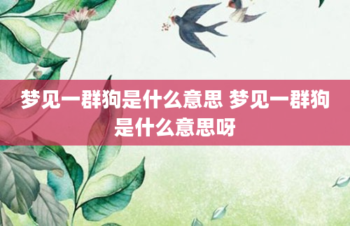 梦见一群狗是什么意思 梦见一群狗是什么意思呀